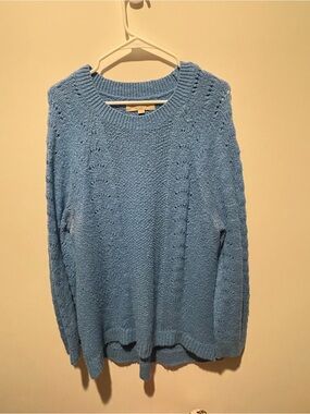 Loft Chunky Knit Crewneck Sweater